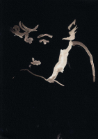 http://www.actionaqua.com/files/gimgs/th-112_20231011fhd0019-20 invert.jpg